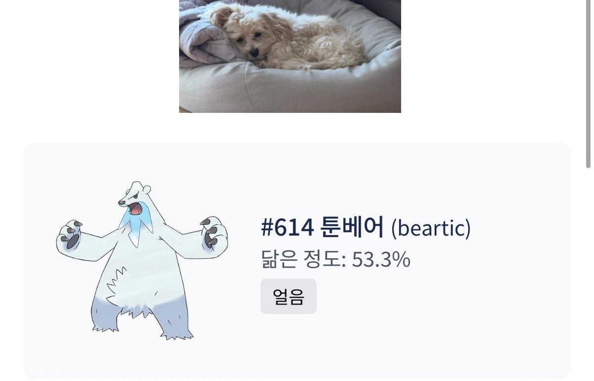 이건 자랑도아니고