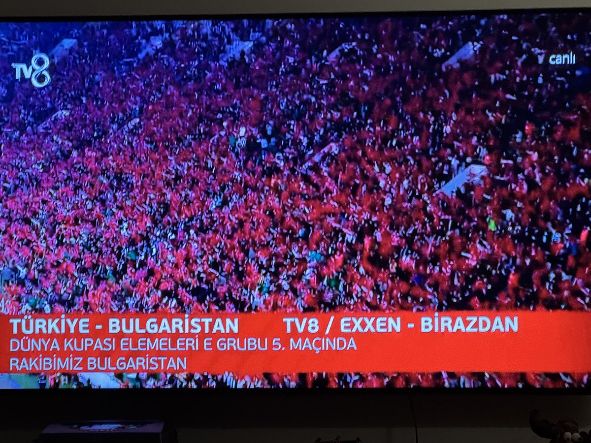 Bu vatan için toprağa düşmüş tüm şehitlerimize rabbim rahmet eylesin!
“Bayrakları bayrak yapan üstündeki kandır, Toprak eğer uğrunda ölen varsa vatandır.”