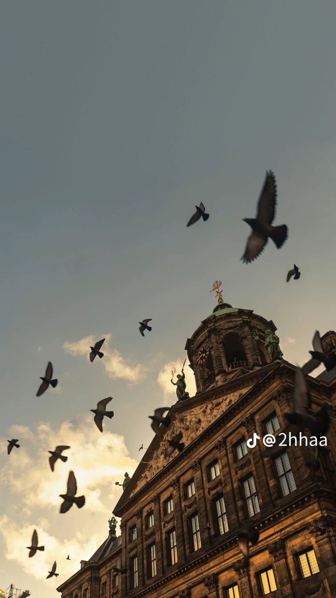 قيل عن وجود الأب :
حين مات أبي اختل توازن المنزل جميعنا كمن فقد ساق نسير بقلب أعرج
#لحظه_صادقه