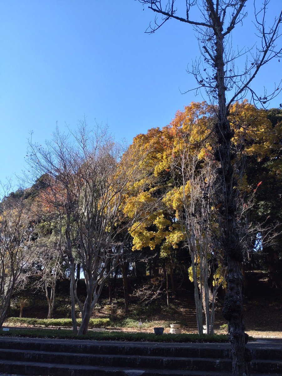 keshet___'s tweet photo. 奥の方は山の中になってて高低差もあってハイキングもできる。しかも誰もいないからめちゃくちゃのんびり歩ける。 https://t.co/dZ80cLNFsl