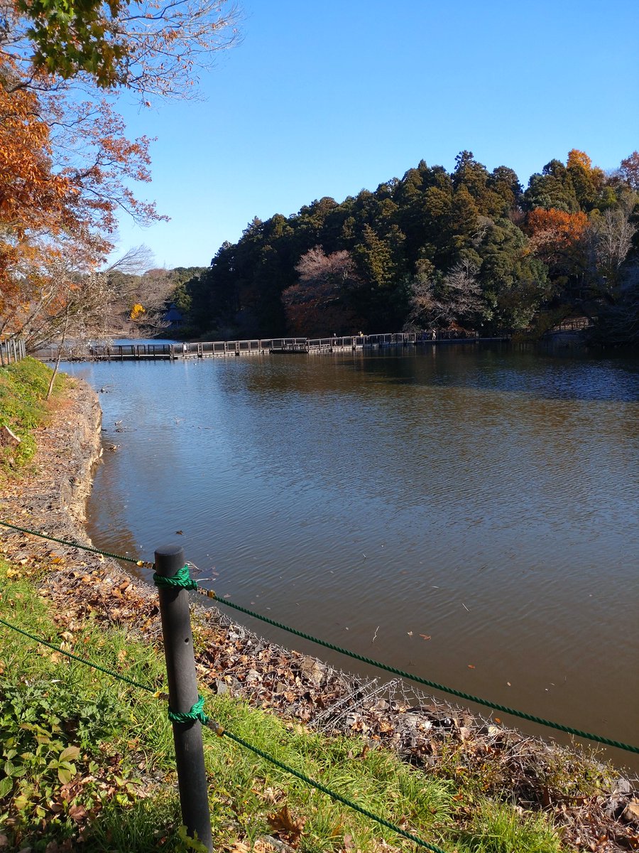 keshet___'s tweet photo. 奥の方は山の中になってて高低差もあってハイキングもできる。しかも誰もいないからめちゃくちゃのんびり歩ける。 https://t.co/dZ80cLNFsl