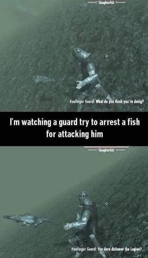If I drank alcohol, I'd probably end up being this drunk... 

(the guard trying to arrest a fish, not the bystander watching said guard try to arrest a fish... though, probably in the several stages of drunk, I'd probably end up being both at some point).
