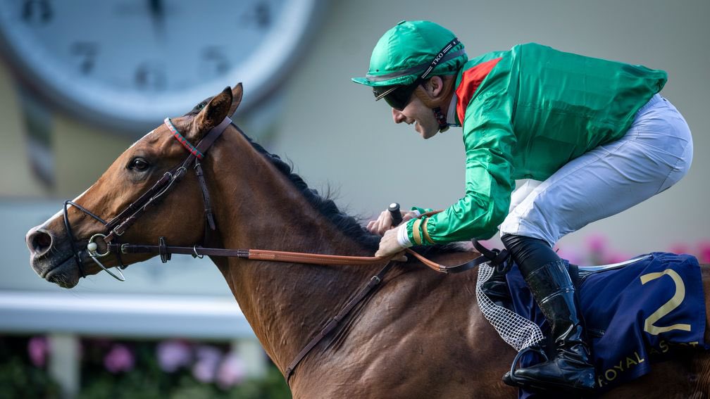 🏆 Tokyo is trembling right now!
After 20 barren years…
Calandagan, carrying the colours of the Aga Khan, struck like lightning in the heart of Japan, on their own soil, and shattered the curse!
Green and red are back ruling the world once again!
#JapanCup #Calandagan