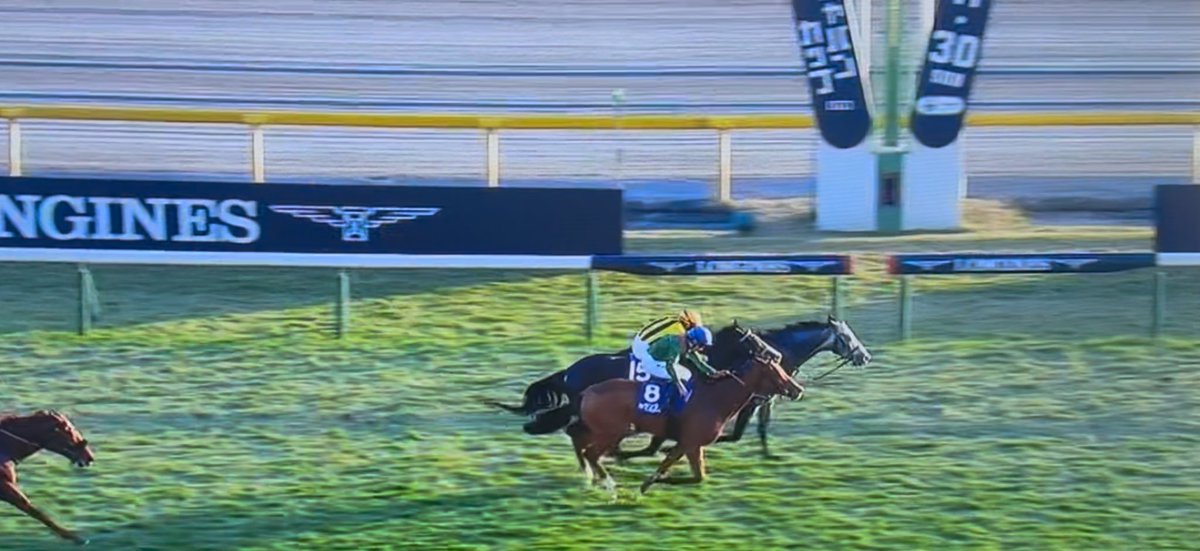 【#ジャパンカップ】
世界最強馬！サンライズアース‼️（空馬）
#サンライズアース
#川田将雅落馬