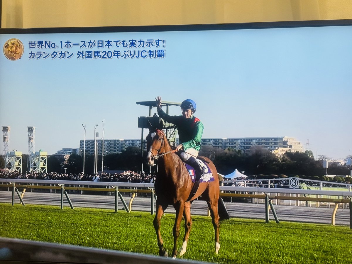 nari__style's tweet photo. カランダガン強すぎっ
ワタクシの3連単予想は8-15-7でした
#ジャパンカップ2025 https://t.co/rfLlDwESvV