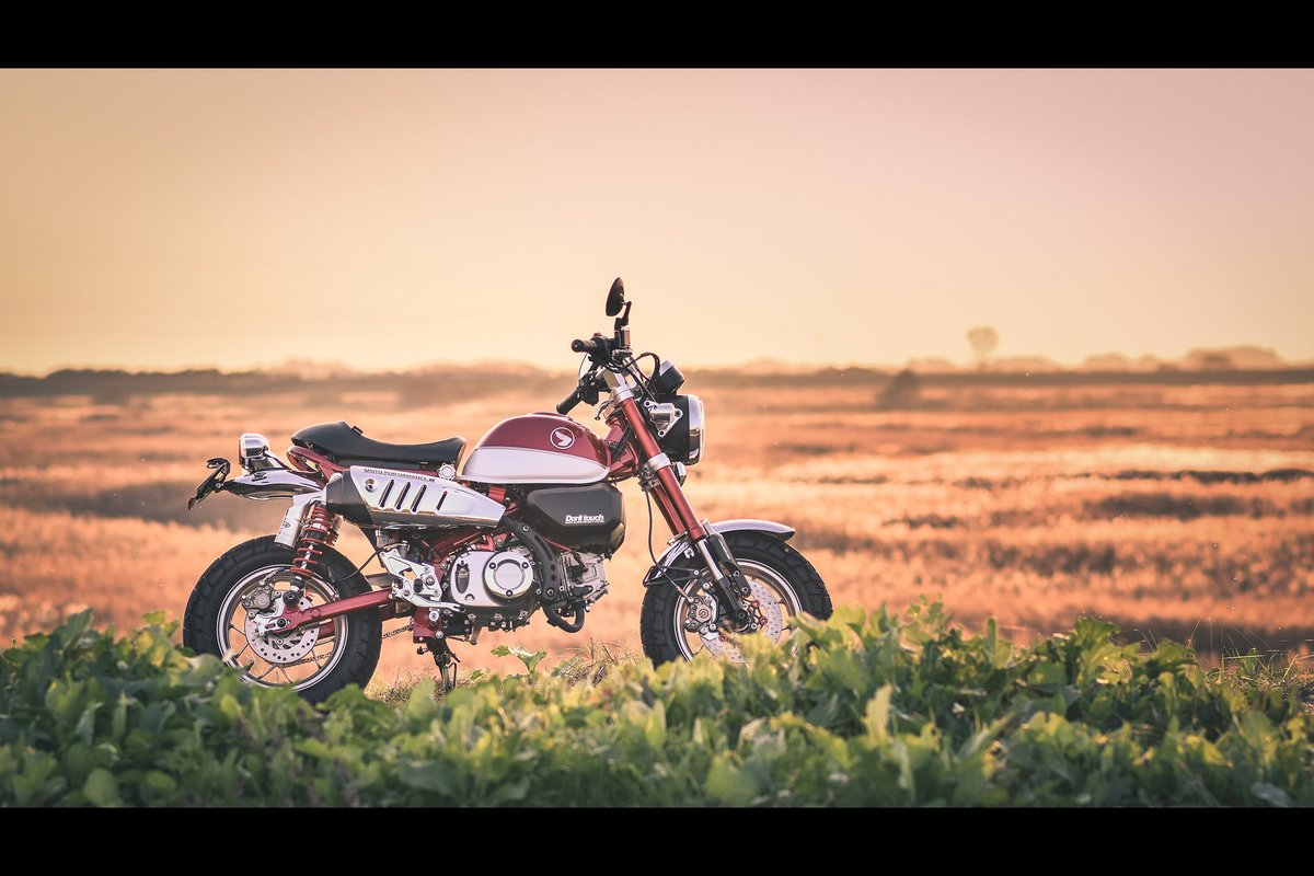 以前のなんちゃってカフェ仕様のモンキー。
やっぱり純正タイヤのスタイル相性良すぎ。

#バイク #ホンダ #モンキー125