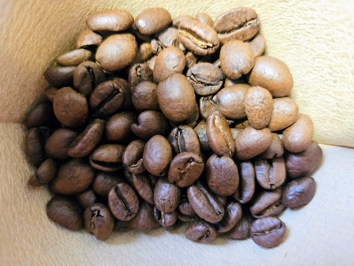 寿人流ゴールの極意を見ながら淹れる一杯☕️
#sanfrecce #川崎F広島 #超ぶちあつ #Jリーグ