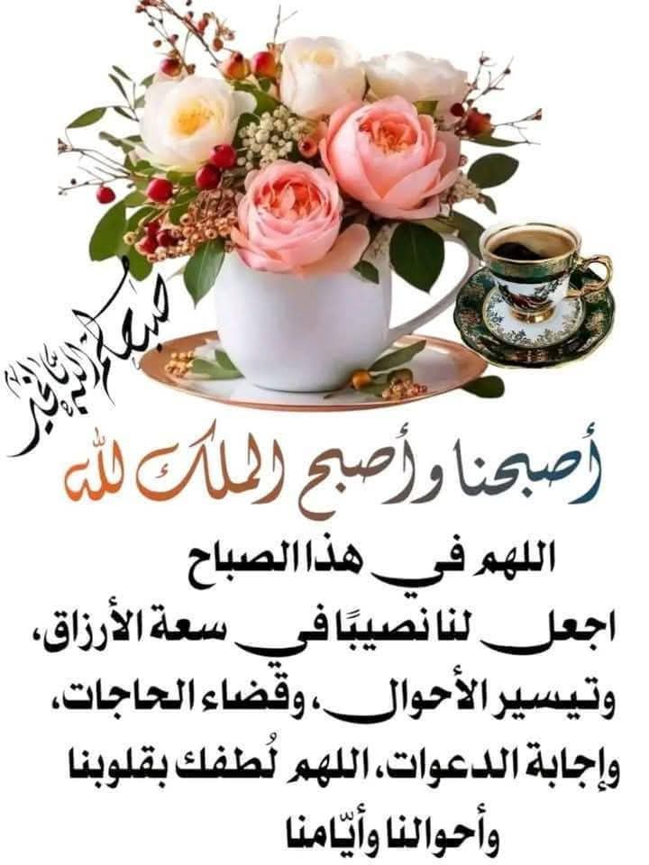 Alialgerois Aliloux tweet media