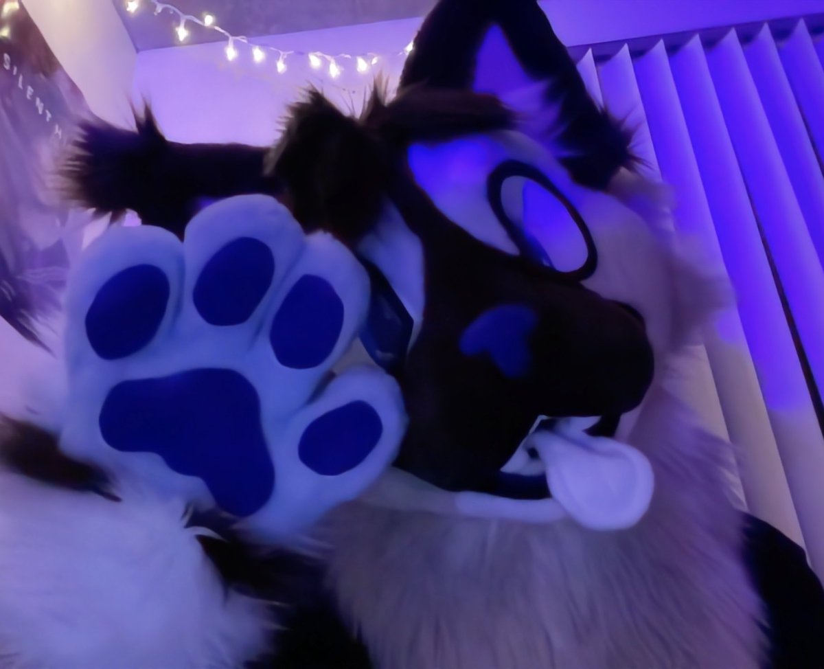 adrian :D tweet media