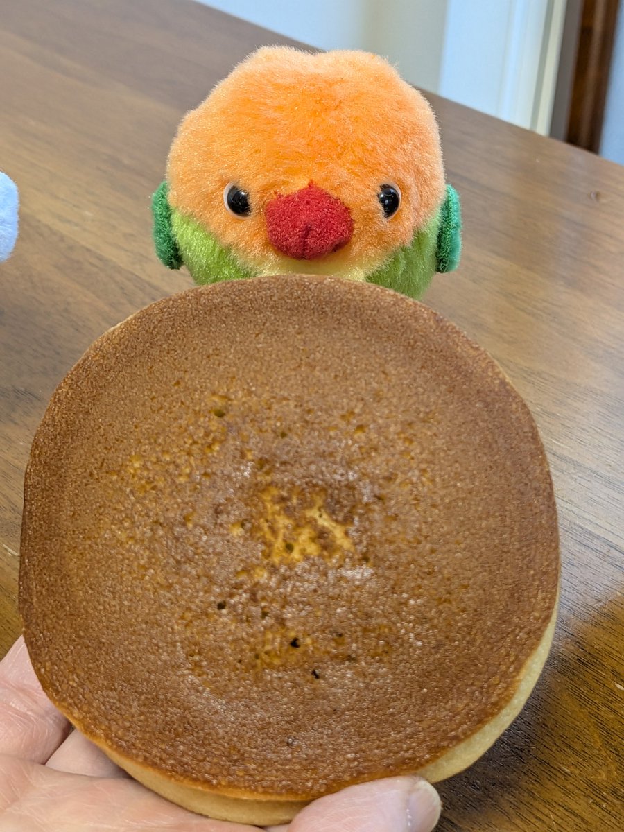 まめたん (@lapin145) / Posts / X