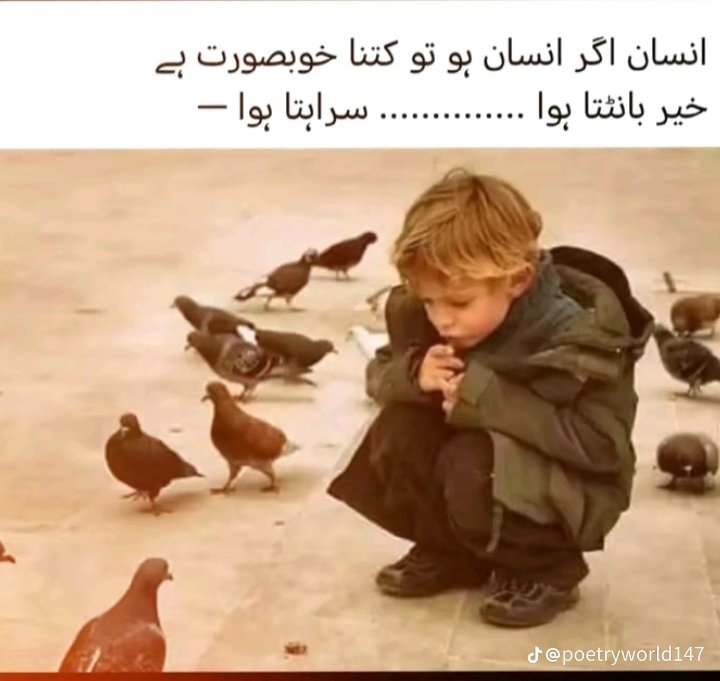 دن بخیر۔۔۔!!!
🍁🍂