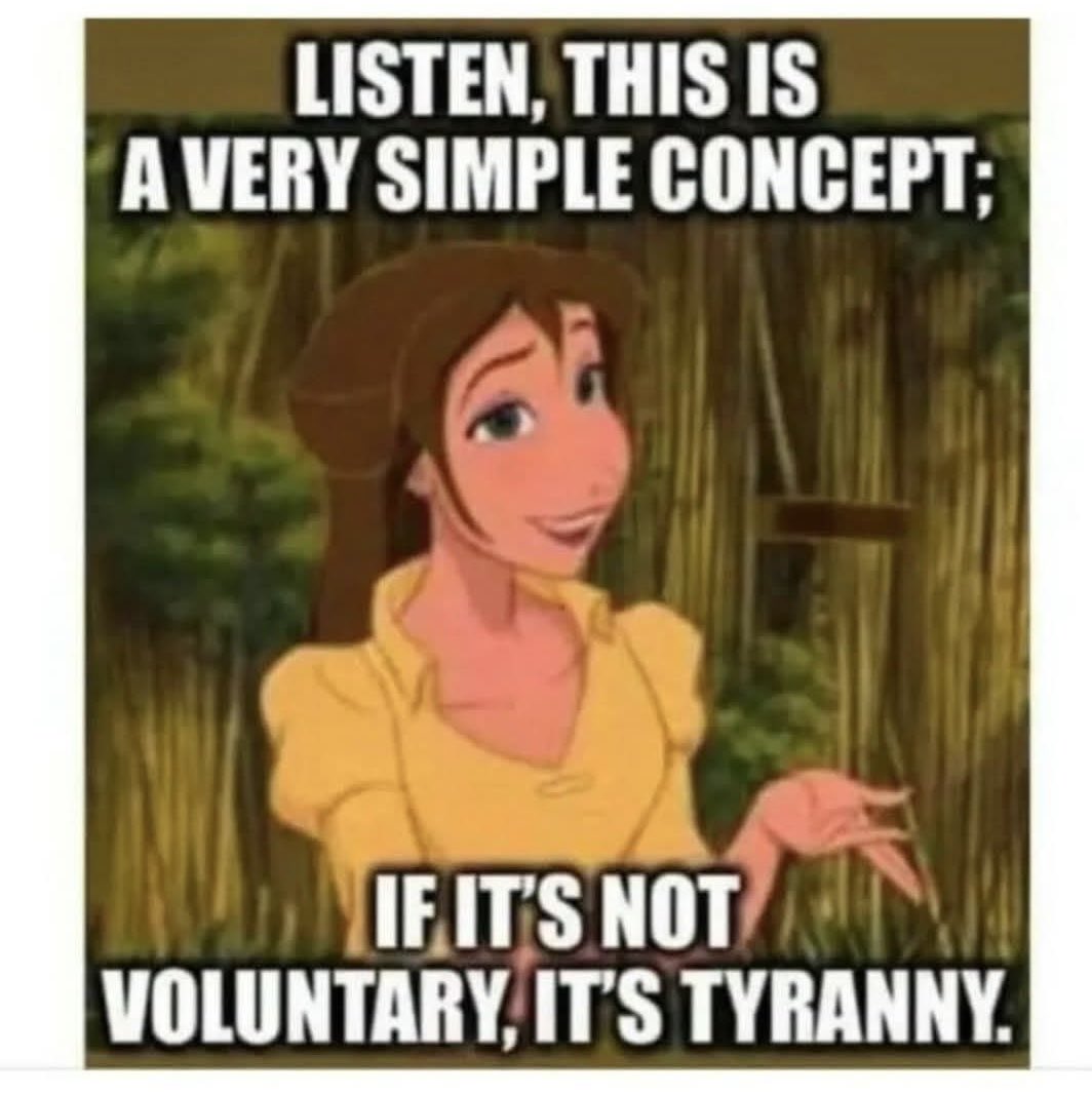 amitylee13's tweet image. GN, y’all!