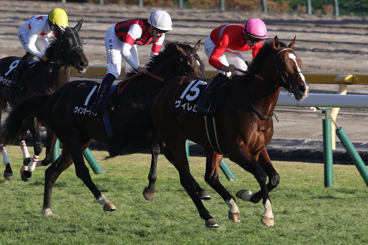 ジェンティルドンナ追悼レースで勝った馬の番号がジェンティルドンナが