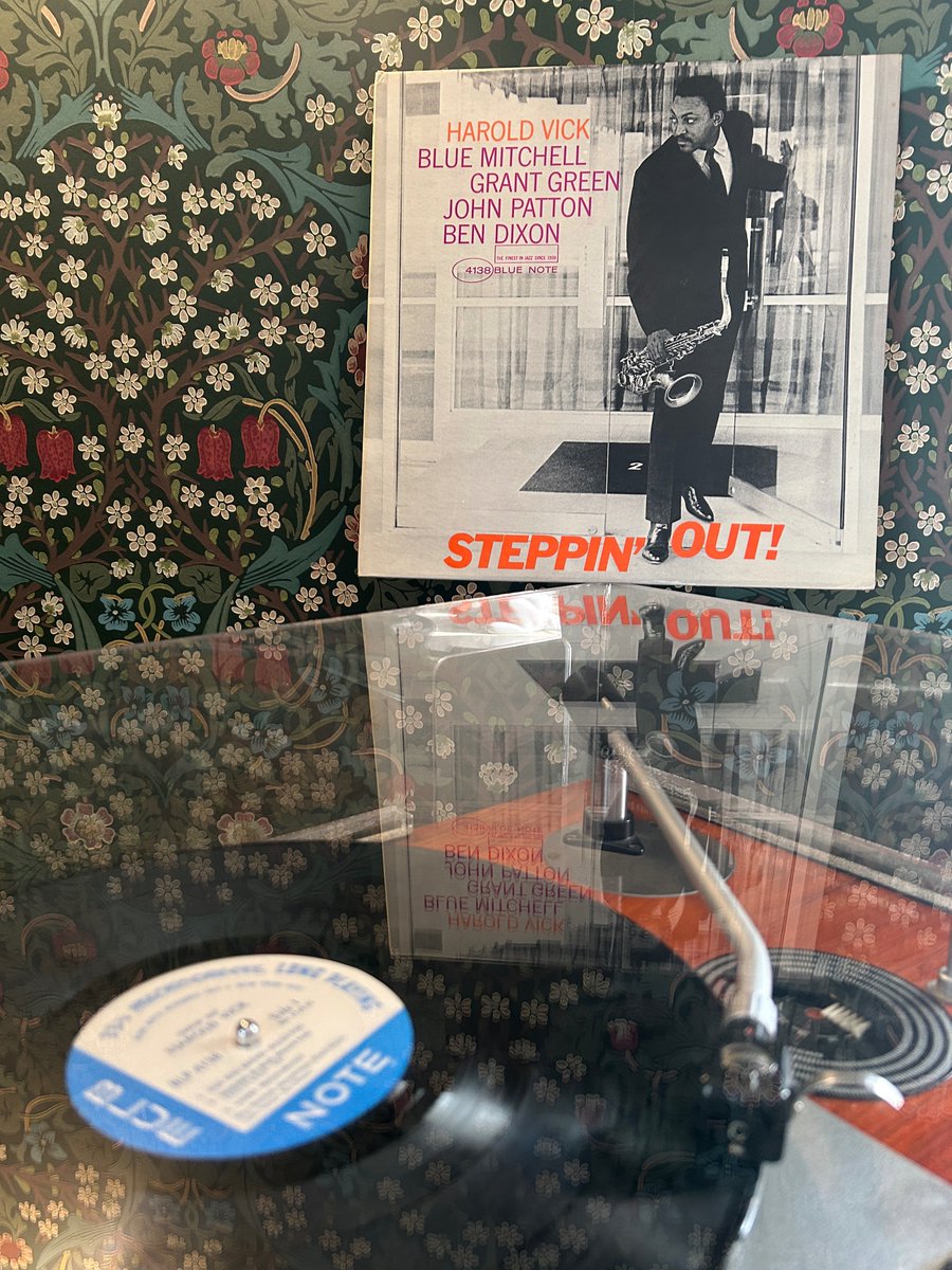 雪入レルナ ≒ ﾕｷｨﾚﾙﾅ ≒ 目立たない色符号 (@kitten_ketone) / Posts / X