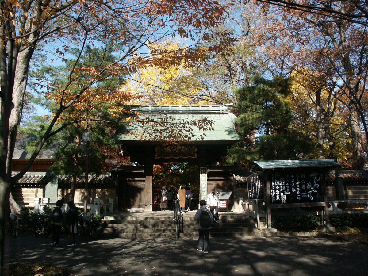 1000mi0's tweet photo. MINOLTA DiMAGE 7Hi
九品仏 浄真寺
Google Mapのクチコミで紅葉が良さそうなので訪問してみました。
#浄真寺 #九品仏 #世田谷区 #紅葉 #MINOLTA #DiMAGE #オールドコンデジ https://t.co/tYEr6sEMUF