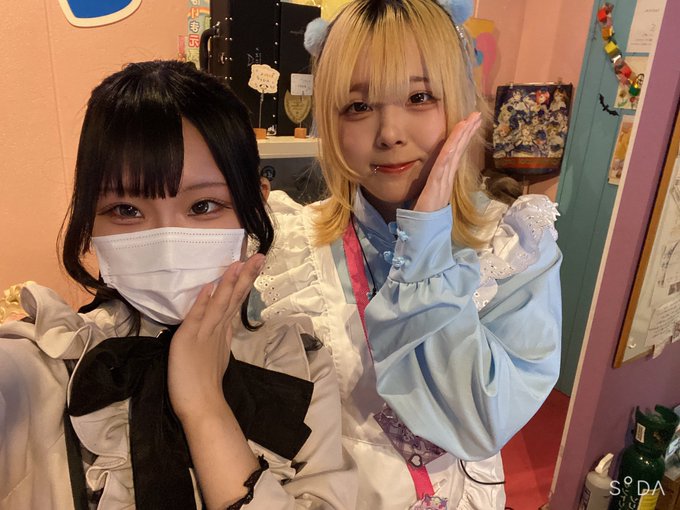 メイドカフェ ぴゅあはーとのツイート