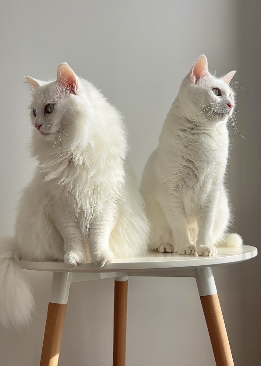 ゆゆゆ⭐︎　おまとめ　3点　machatt aeca blanc ドノバン ジークアクスの中盤のここすき #GQuuuuuuX