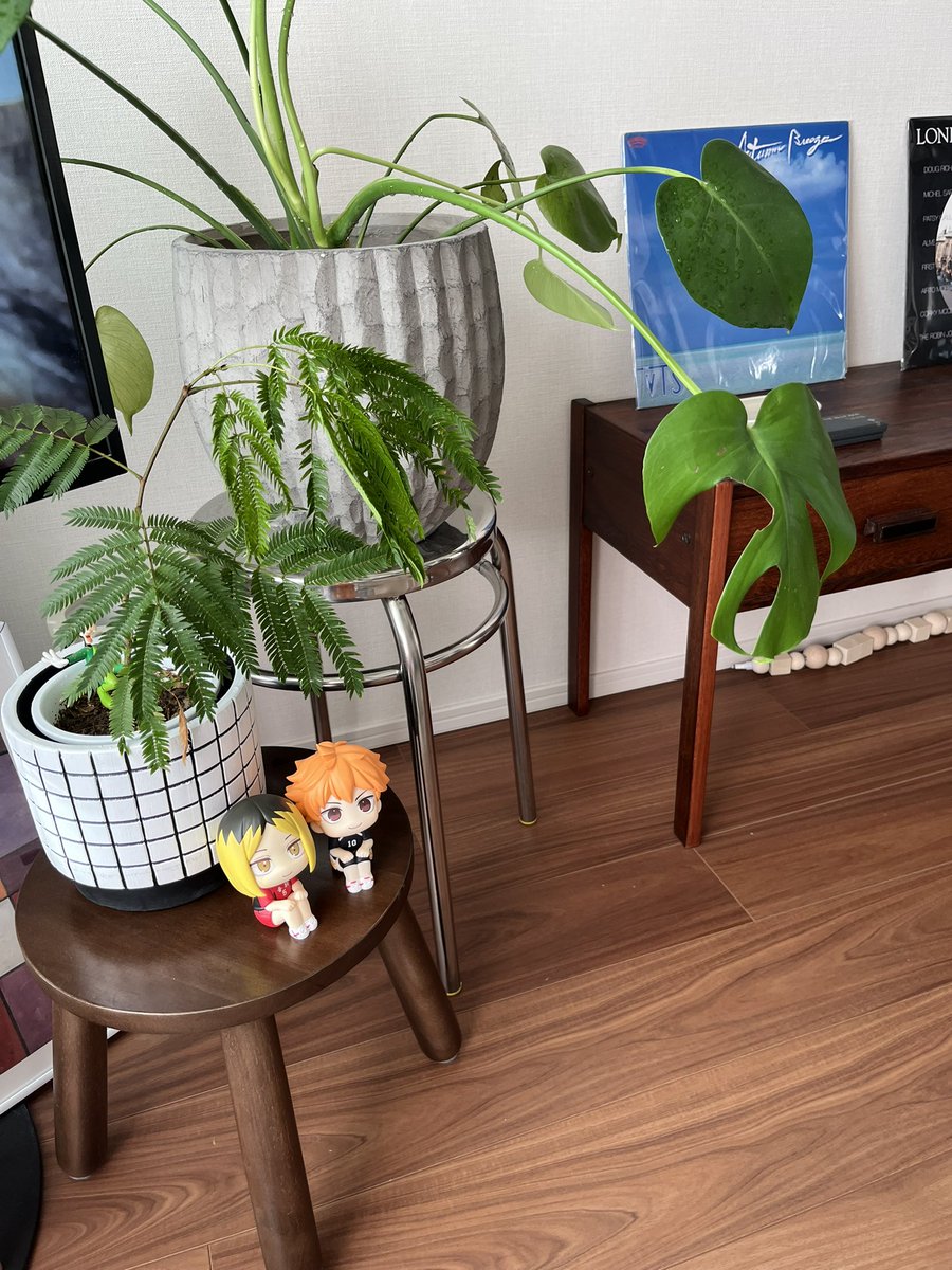 yuuukkkooo10's tweet photo. キャラものは絶対置かないと自制し続けたど‥可愛すぎて満を持してお迎えしてしま��た❤️‍🔥🥹
あまりにも𝓹𝓻𝓮𝓽𝓽𝔂‥
もはや𝔀𝓸𝓻𝓵𝓭 𝓹𝓮𝓪𝓬𝓮‥ https://t.co/GuL8RvJh1a