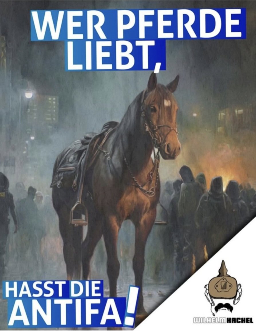 AHoefner_AFD's tweet image. Das arme Pferd von #Giessen ist jetzt schon ein Märtyrer für uns!

#gi2911