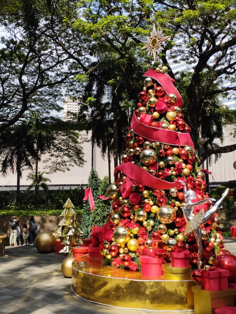 マニラ滞在6日目
休日につきショッピングへお出かけ
気温30℃
南の島のクリスマスツリー