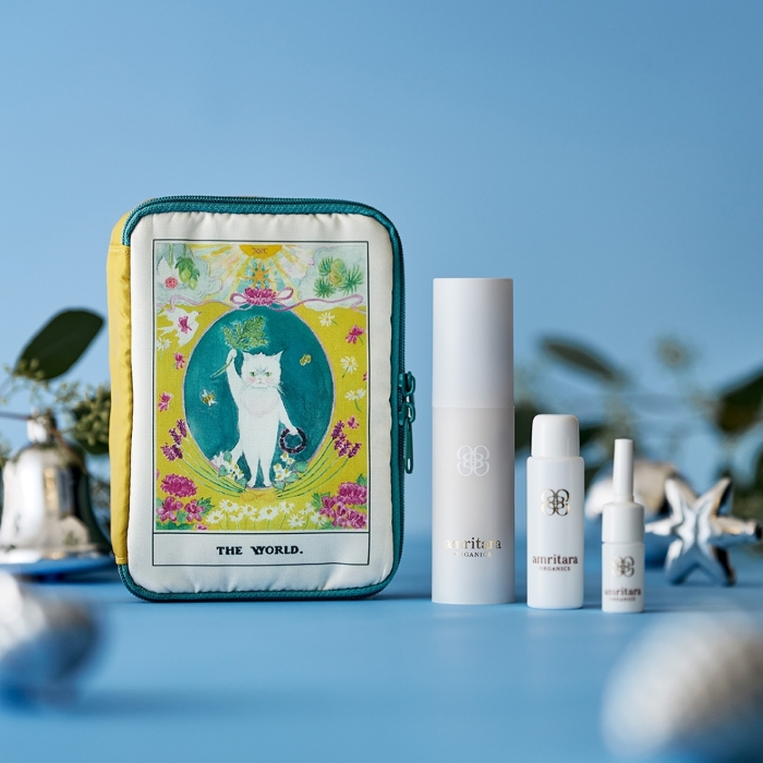 数量限定／ 👉エイジ ソリューション ウィッシュ キット オーガニック