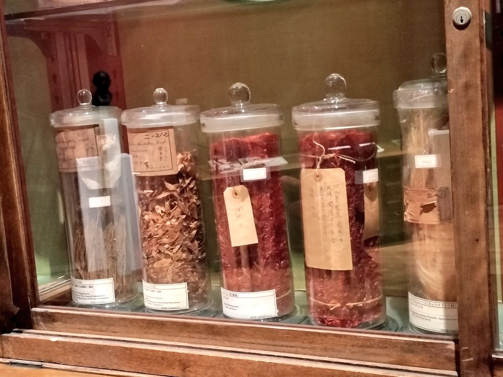 kamo_kamos's tweet image. あんまり知られてないけど、東京駅のデートスポット、KITTE丸の内の中には博物館があって、昭和初期の注射器とか、漢方の原薬とか、ミイラとか見れるので刺さる人には刺さると思う。しかも入場無料。