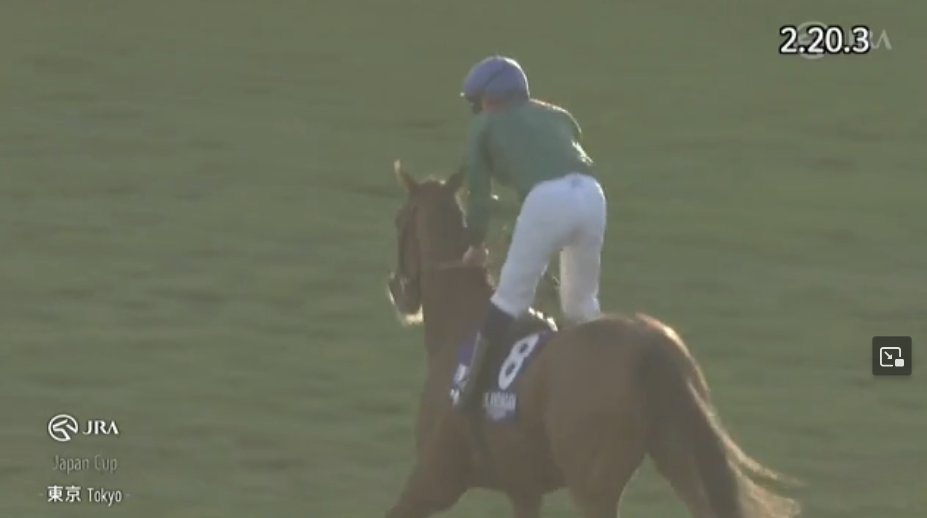 ジャパンカップ2:20:3すごすぎ 一応馬券当たりだけど三連単スカッたの
