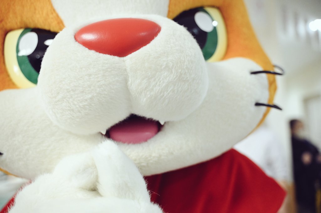 にゃん吉【公式】Nyankichi (@cat_nyankichi) / Posts / X