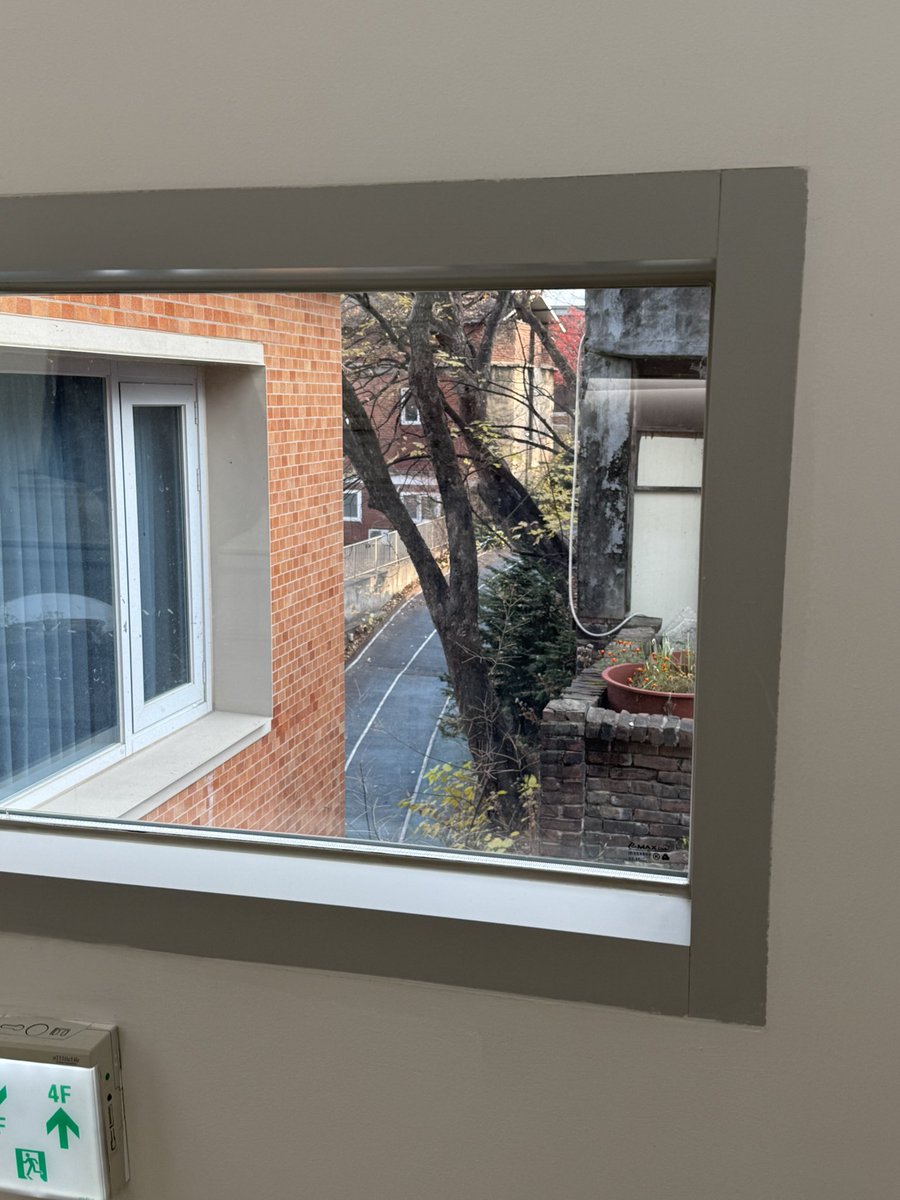 힐튼서울 자서전 보았고
늦가을 피크닉은 역시 넘 좋고