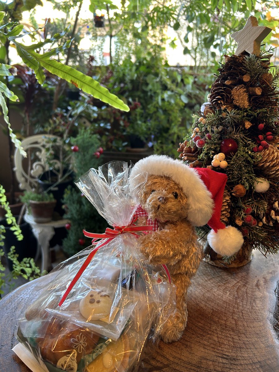 ジンジャーマンくまちゃん☆クリスマス 可愛い熊サンタがプレゼント抱えてやってきた🐻🎁🎄✨😳💓 写真撮っ