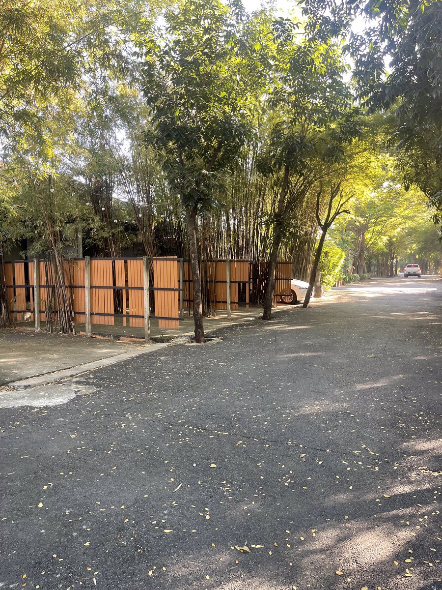 เช้านี้อากาศเย็นกำลังดี