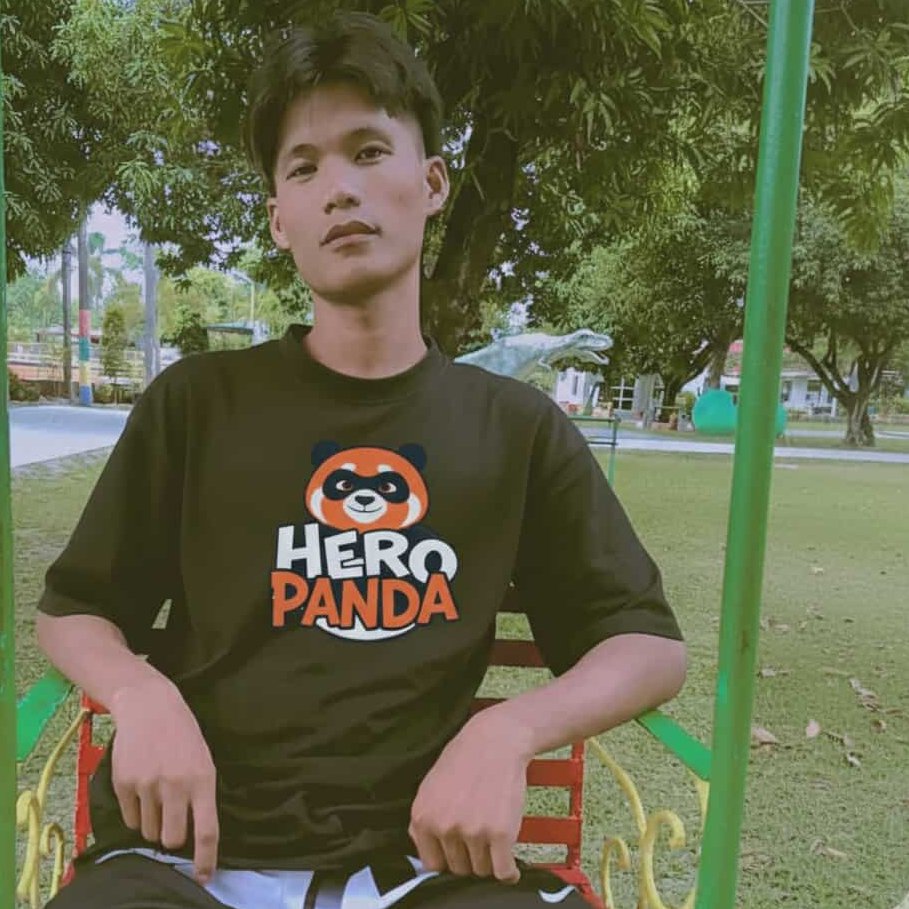 HeroPanda tweet media