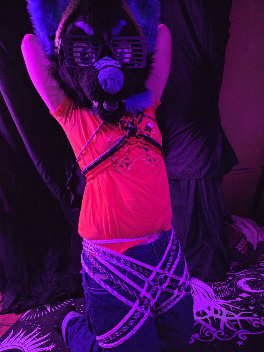 Maxy Wuff tweet media