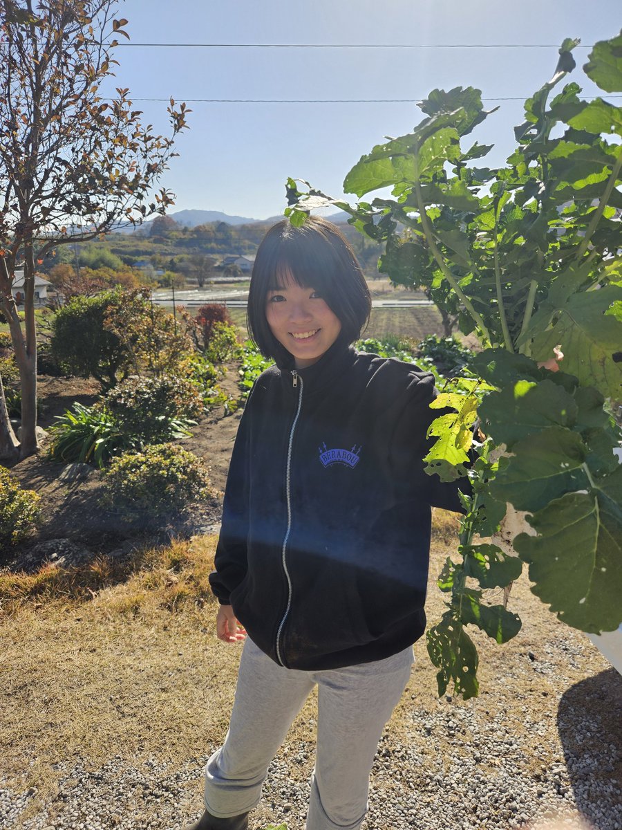 Taro (たろー) (@e666zzz) / Posts / X