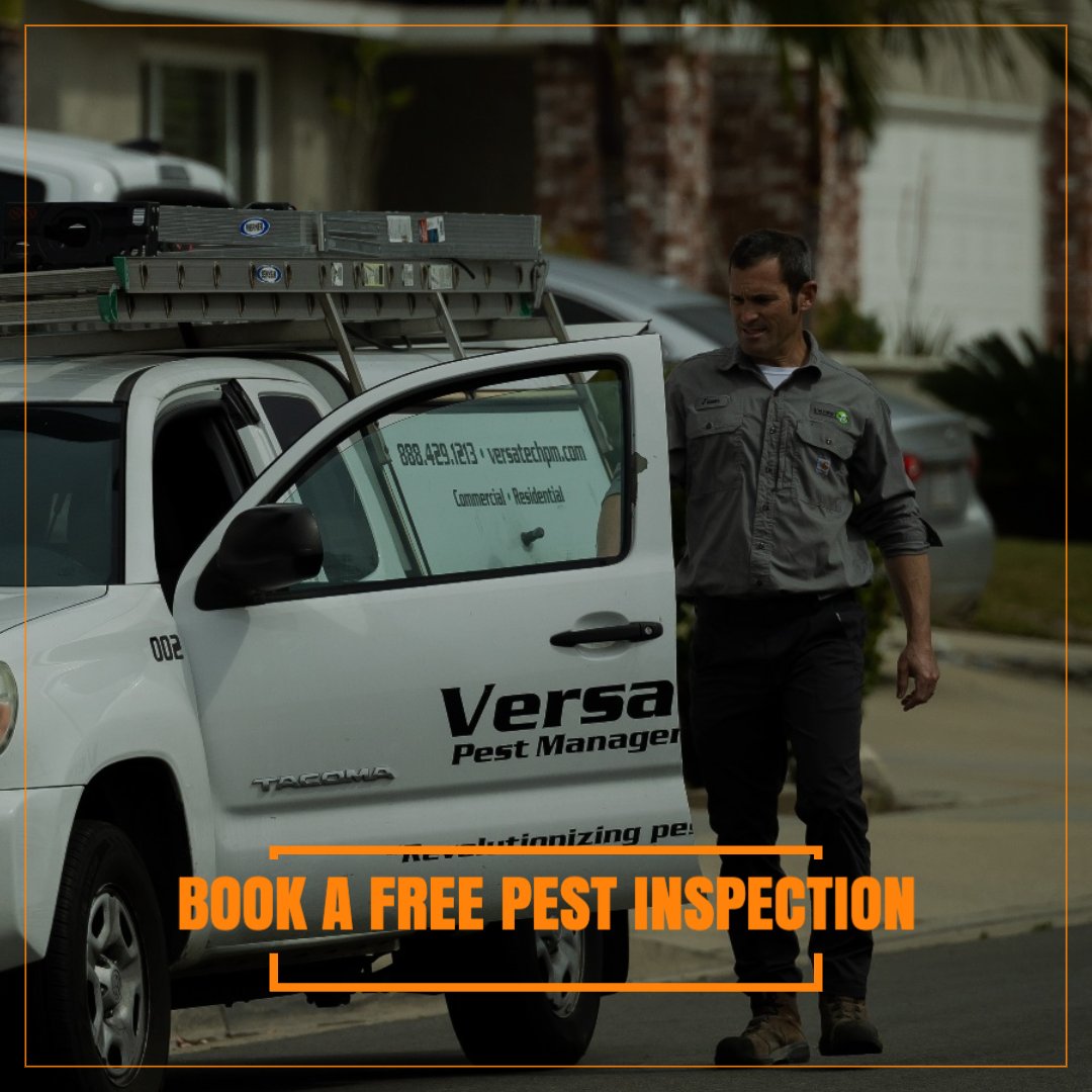 VersaTechPM's tweet image. Have a problem with with pests or rodents? Our highly-skilled pest experts at Versa-Tech PM® are here for you with top rated #rodentcontrol &amp;amp; #pestcontrol you can count on including free pest inspections and consultations. Call to get started at (888) 429-1213.
