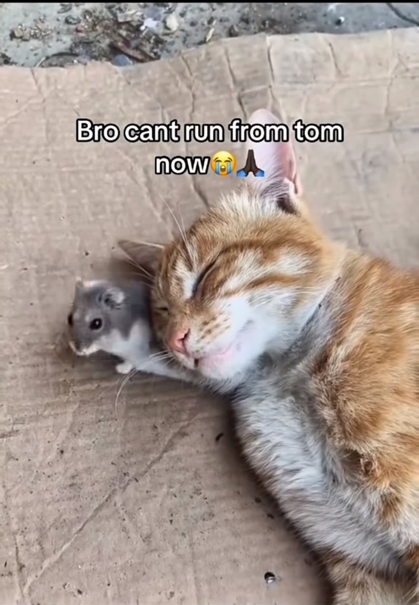 La chatte de ma responsable au taff (qui m'aime pas) peut pas rentrer chez elle parce que c'est fermé à clé