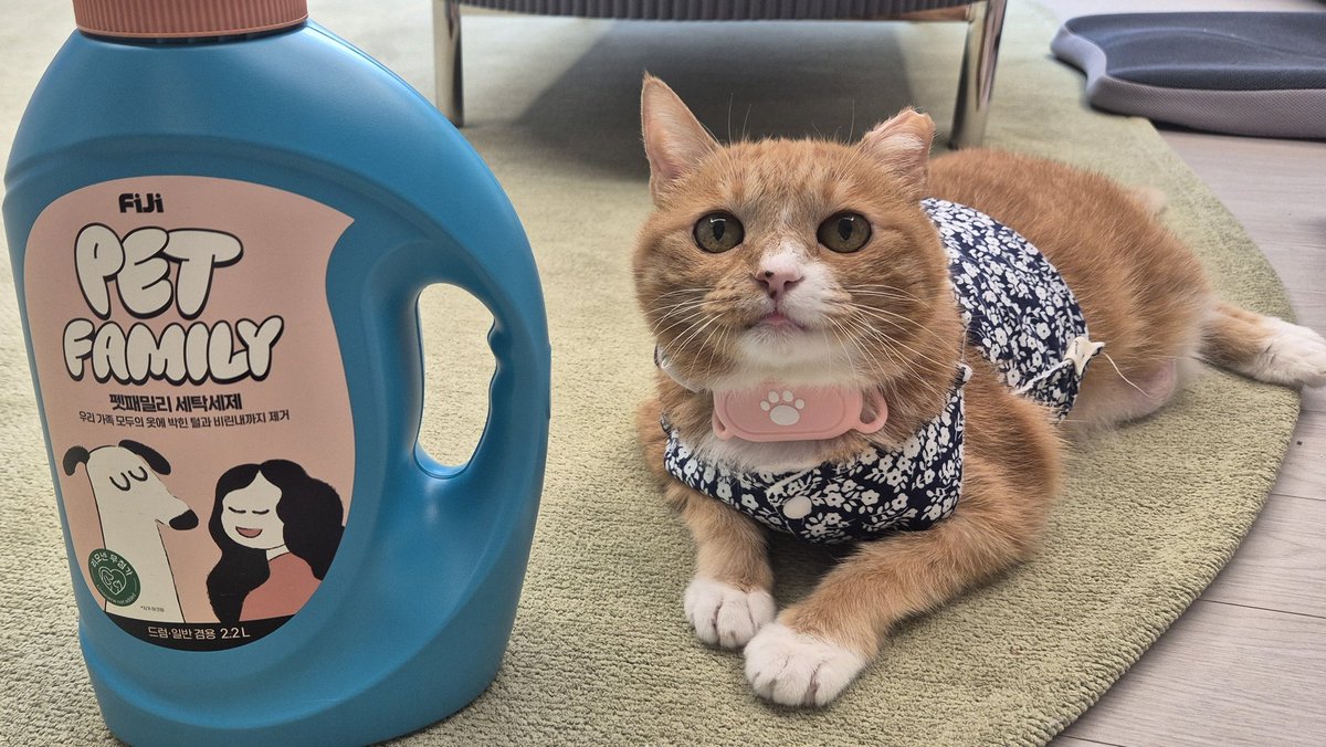 진심 리모넨 없는 세제 찾으면 선택지가 너무 줄어서 앞으로도 리모넨 없는 제품들 내줬으면 싶음
펫 패밀리세제 짱 내돈내산임
아무것도 받지 않았지만 받고 싶다는 욕망이 있음(대체