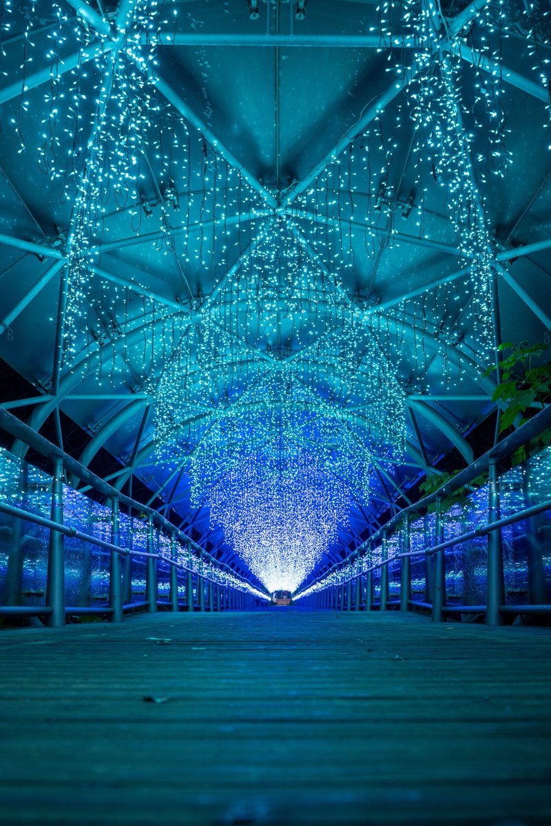 とっとり花回廊

2025/11/26

#鳥取
#鳥取県
#ライトアップ
#イルミネーション
#虎写真機