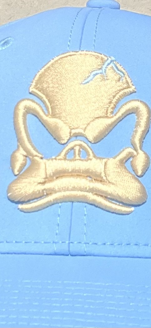 carolinaducks's tweet image. Look out summer of 2026 we are coming for the 5th year!
#weflytogether #bigduckenergy #usvsthem  Us vs Them!