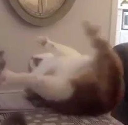 Toilet_pudding's tweet image. Same picture.
#HazbinHotelAbel