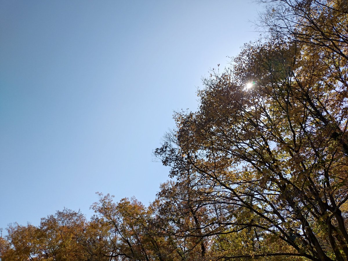 fragment1sian's tweet image. とても良い天気だ