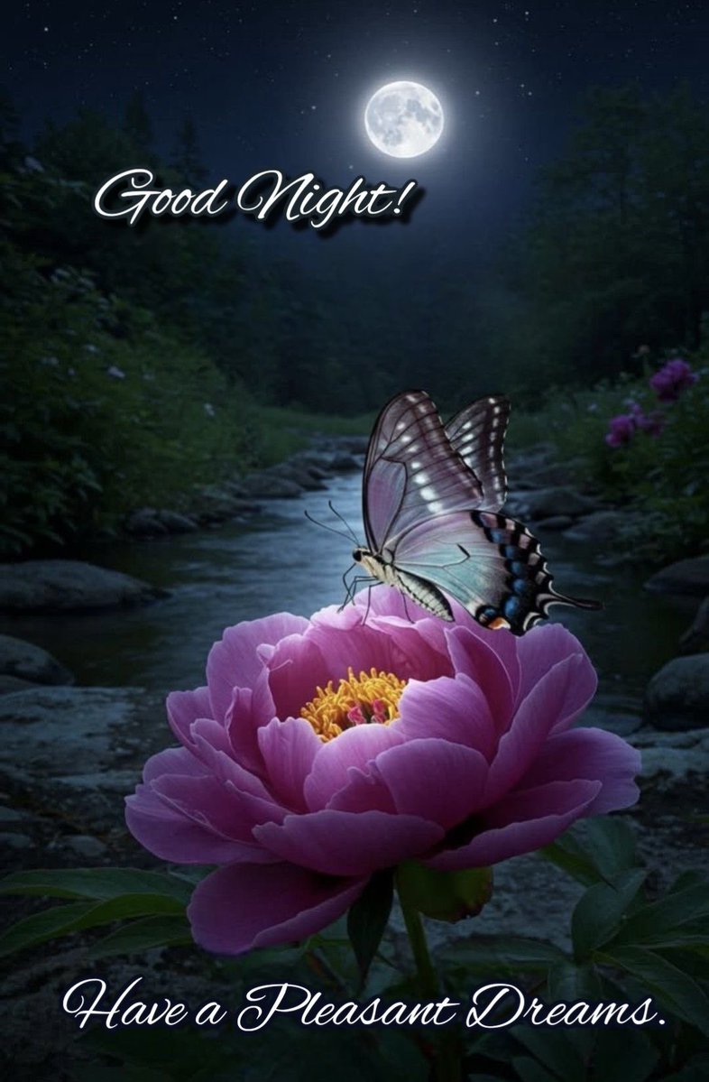 KathleenWinche3's tweet image. Goodnight everyone! 🥰
Sweet dreams 💤 
Sleep well 😴 
See you in the morning! ♥️🫶🏻🙏