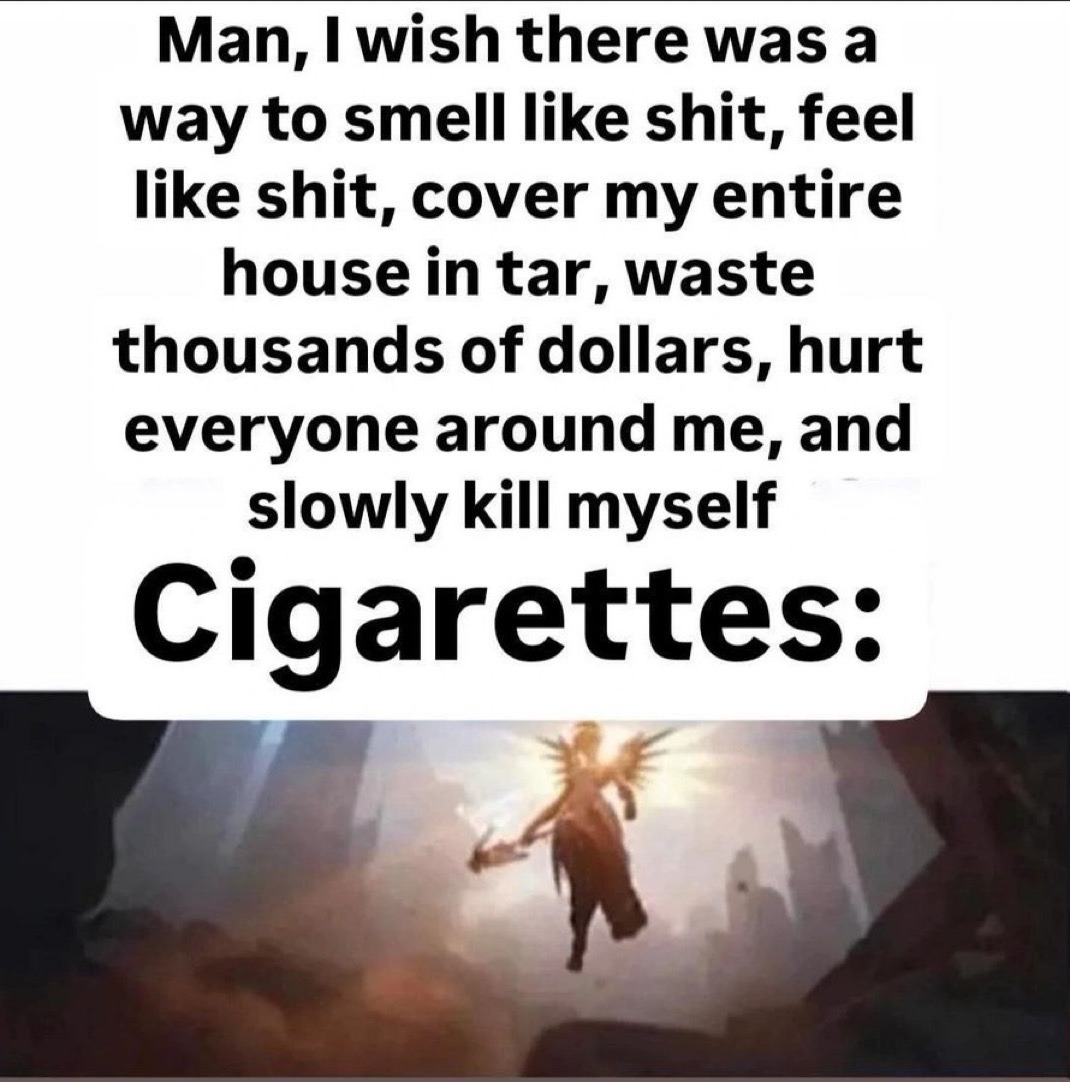 ShitpostGate's tweet image. 