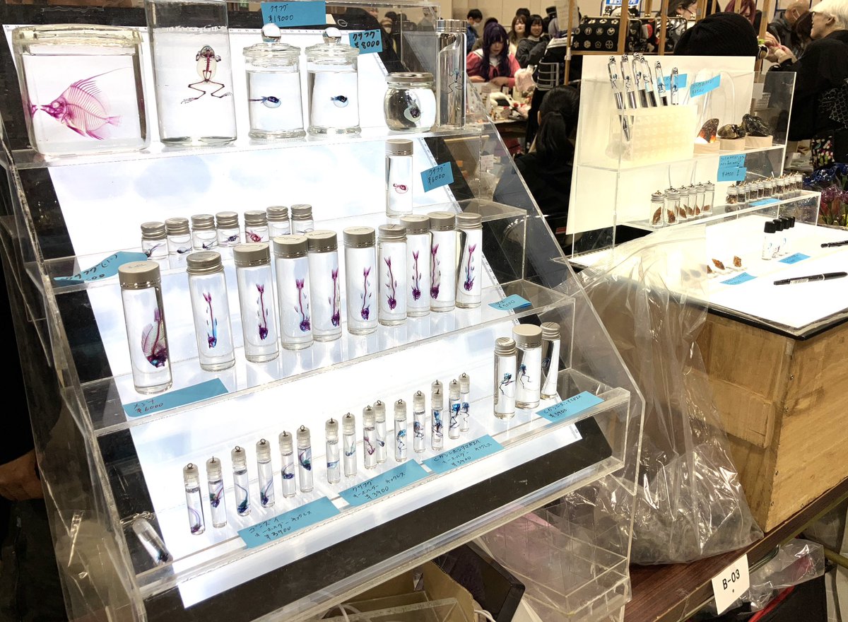 rika_ishou's tweet photo. #りいけん 作家スペース！
⑤骨 https://t.co/JcZeyEZ3gH