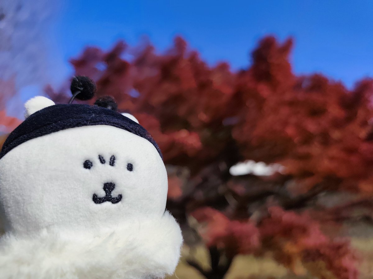 YU-KI (@0427yuki) / Posts / X