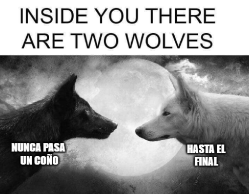 barbara_spl's tweet image. 