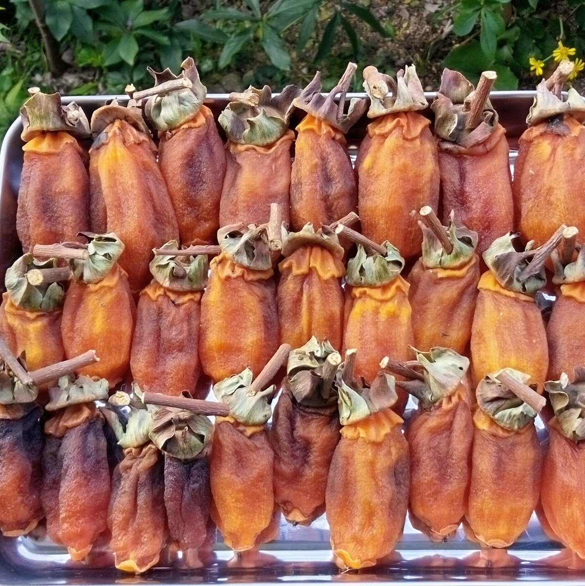 志 信 (@chippo3733) / Posts / X