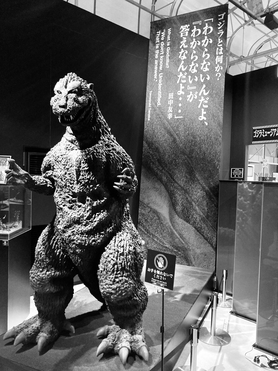 Bull.Falcon (@FalconBull) / Posts / X