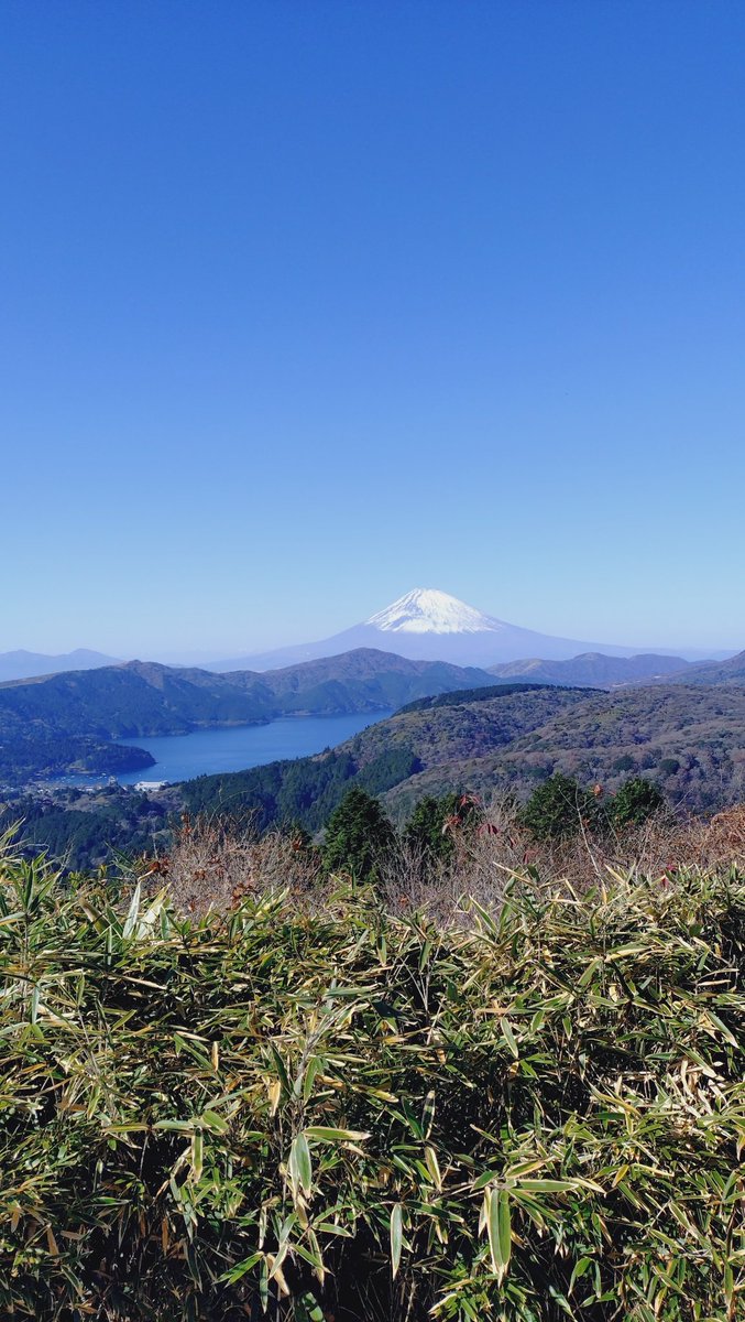 しゅのぅ(群) (@shunow1) / Posts / X