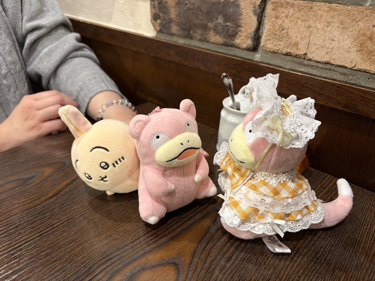 やどんちゃん 昨日の様子。 うちのやんちぃとぽんたろうさん(@neet2110ponzowo )のと